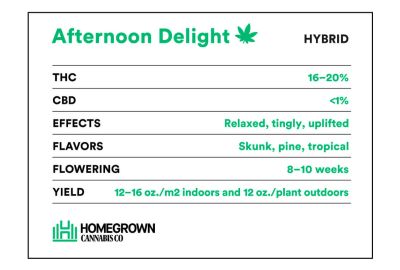 Afternoon Delight Strain Info