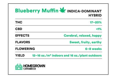 Blueberry Muffin Strain Information