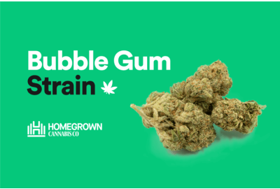 Bubble Gum Strain
