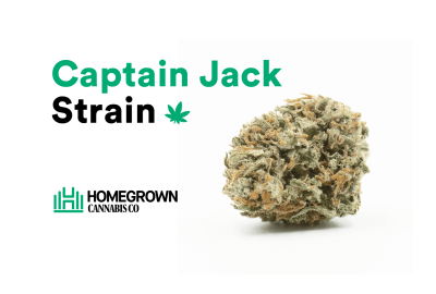 Captain Jack Strain