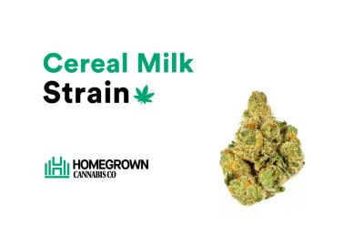 Cereal-Milk Strain