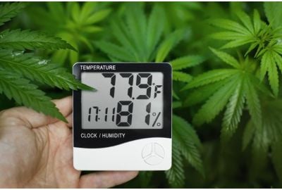 Ideal Temp and Humidity for Grow Tents