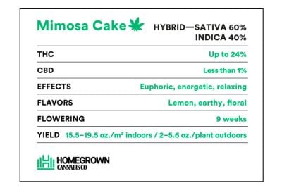 Mimosa Cake strain info