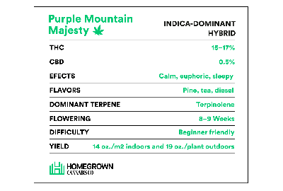 Purple Mountain Majesty Strain Info