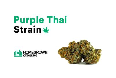 Purple Thai strain review