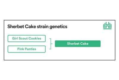 Sherbet Cake Strain genetics