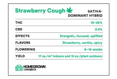 strawberry cough strain info