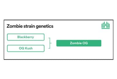 Zombie Strain Genetics