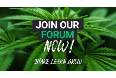 Cannabis growers forum