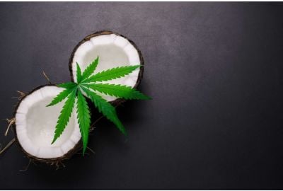 coconut water for cannabis