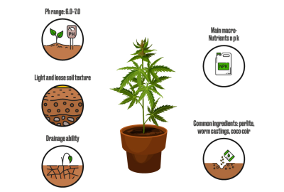 optimal soil conditions to grow cannabis - marijuana growing tips