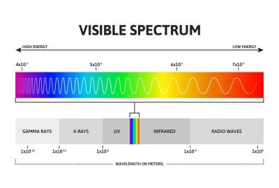 The Best Cannabis Light Spectrum by Stage