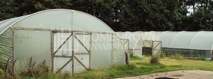 PVC Plastic Tunnel Greenhouse
