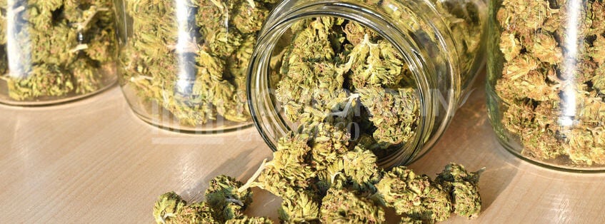 Stored Cannabis in Jar