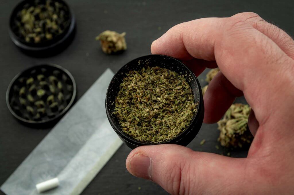 Weed in a grinder ready to be rolled into a joint