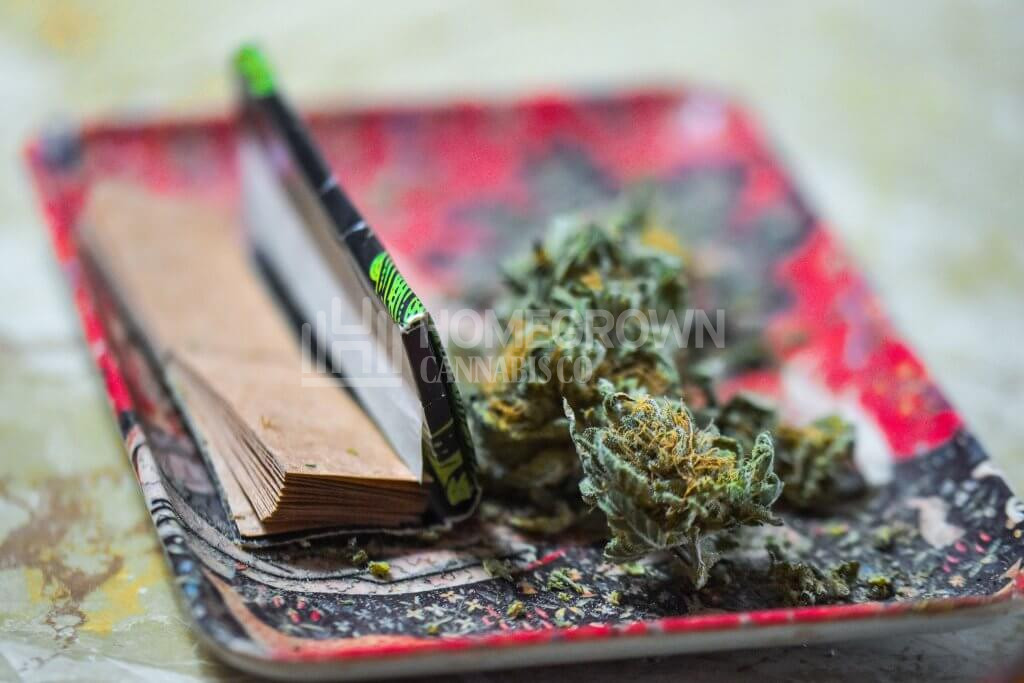 Rolling papers and buds