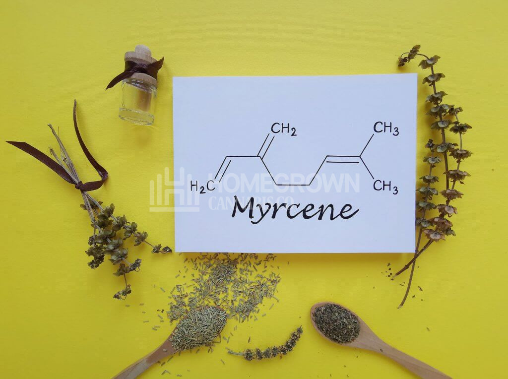 Structural chemical formula of myrcene
