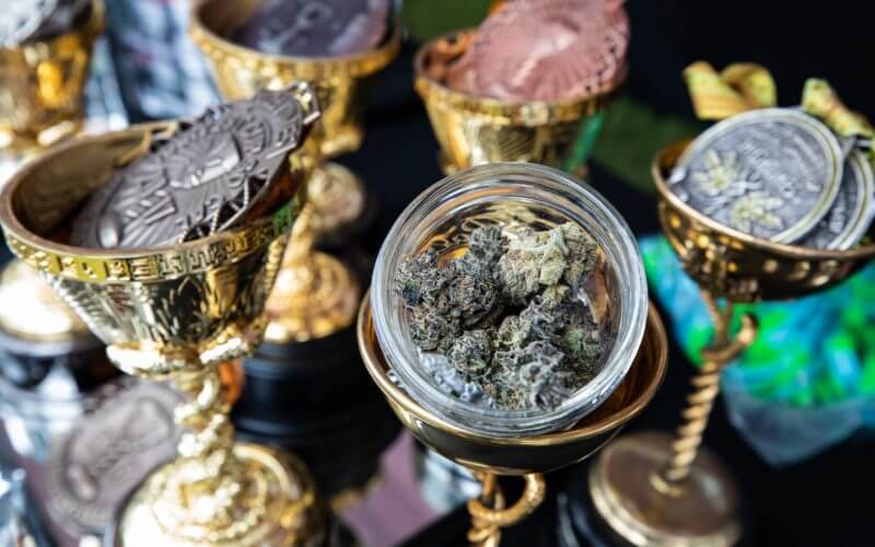 High Times Cannabis Cup trophies and medals