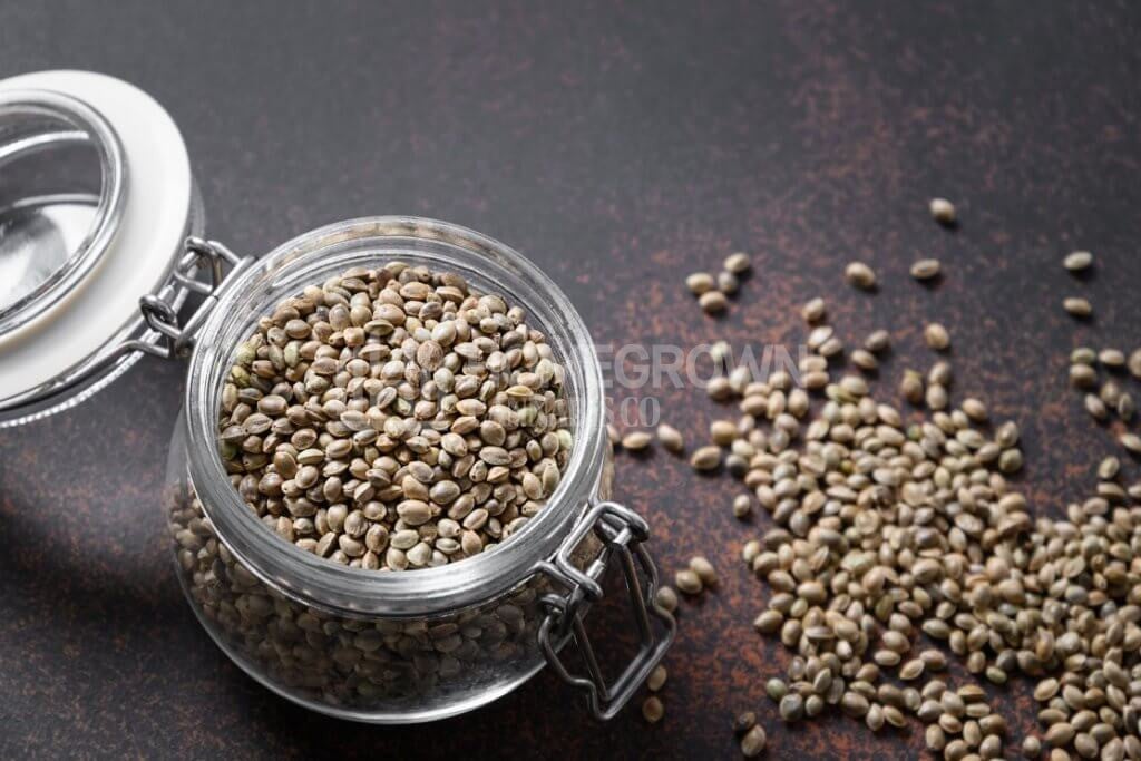 Cannabis seeds in a glass jar
