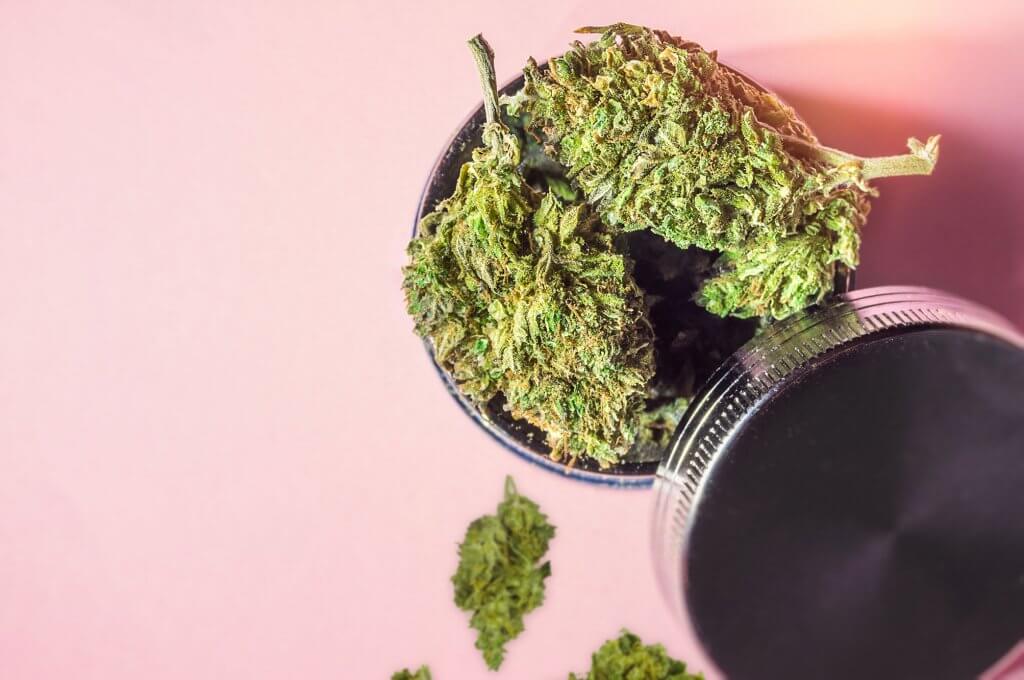 Medical Marijuana Jar flower buds and weed Grinder on pink backg