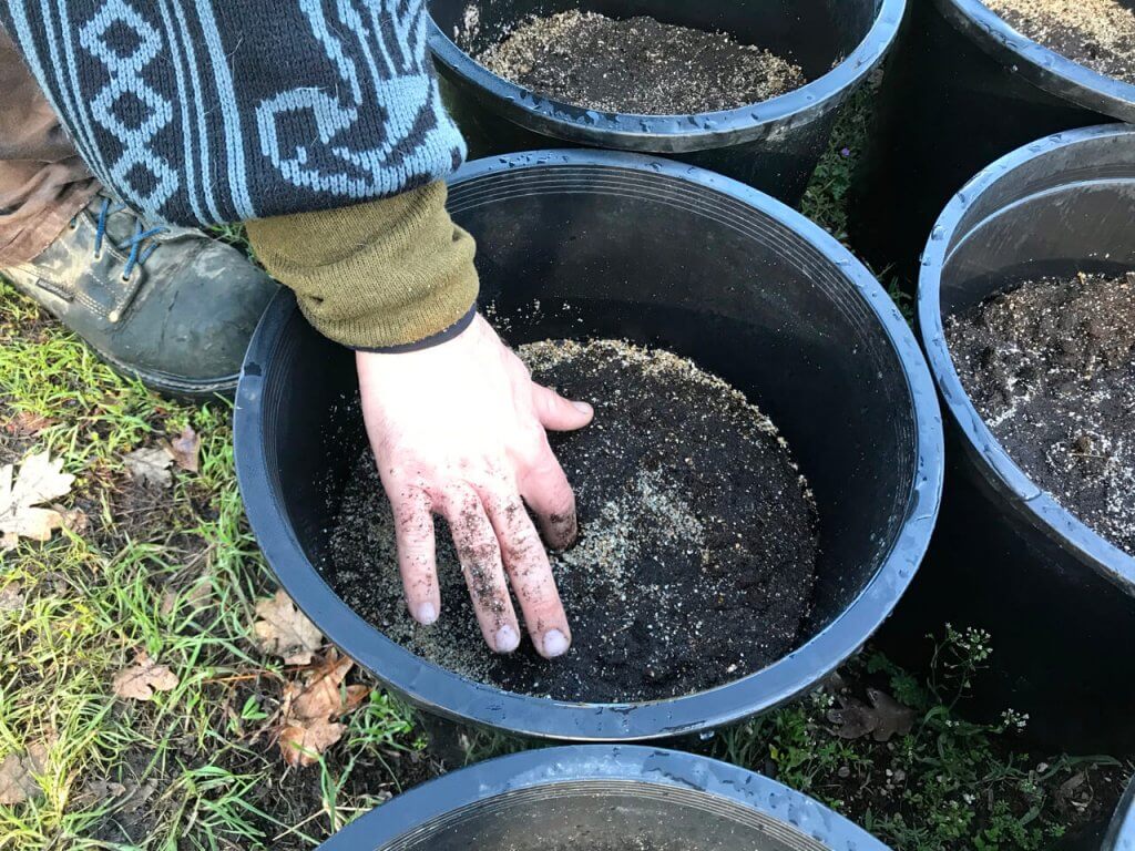 Poking seed holes in soil