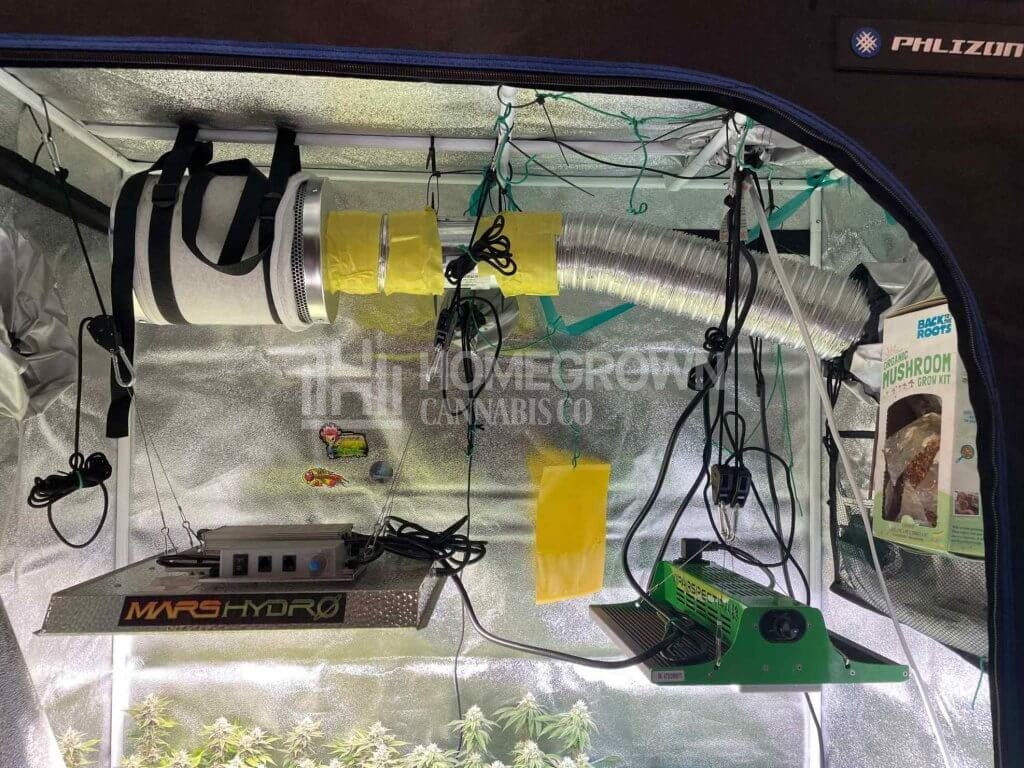 Carbon Filter and Ventilation System for Indoor Grow Tent Setup