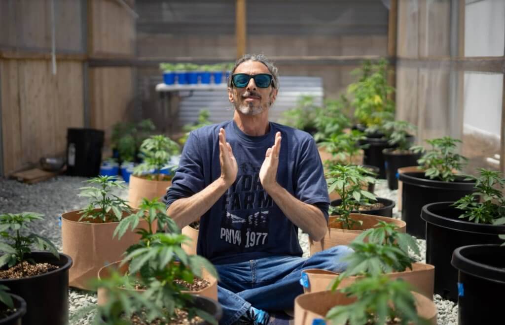 kyle kushman with cannabis plants