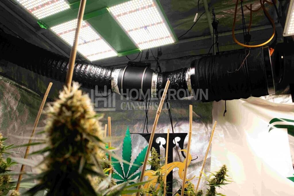 Indoor Grow Carbon Filter