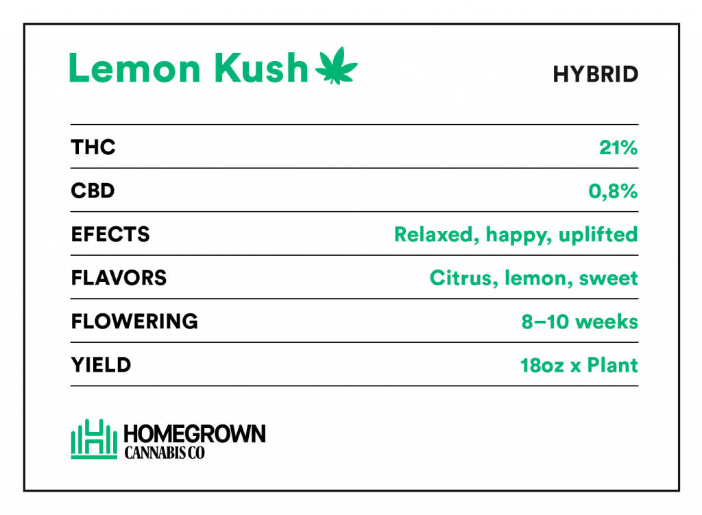 Lemon Kush information