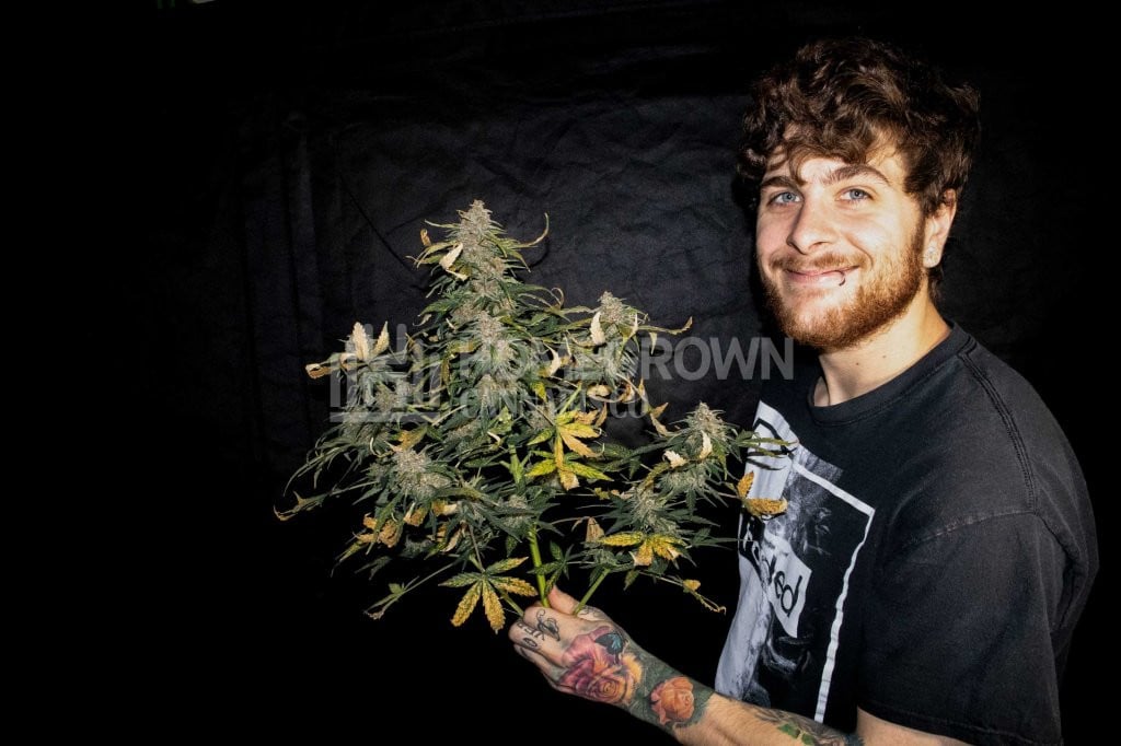 Derek LaRose (Kronic) with a cannabis plant