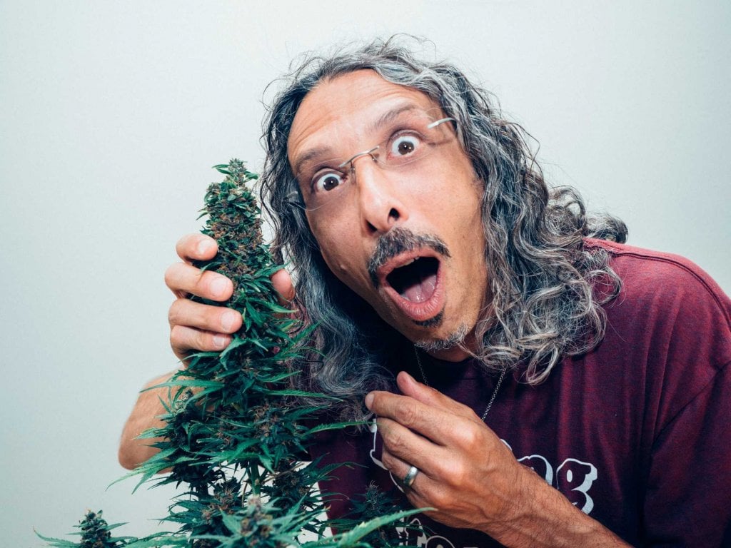 kyle kushman with a cannabis plant