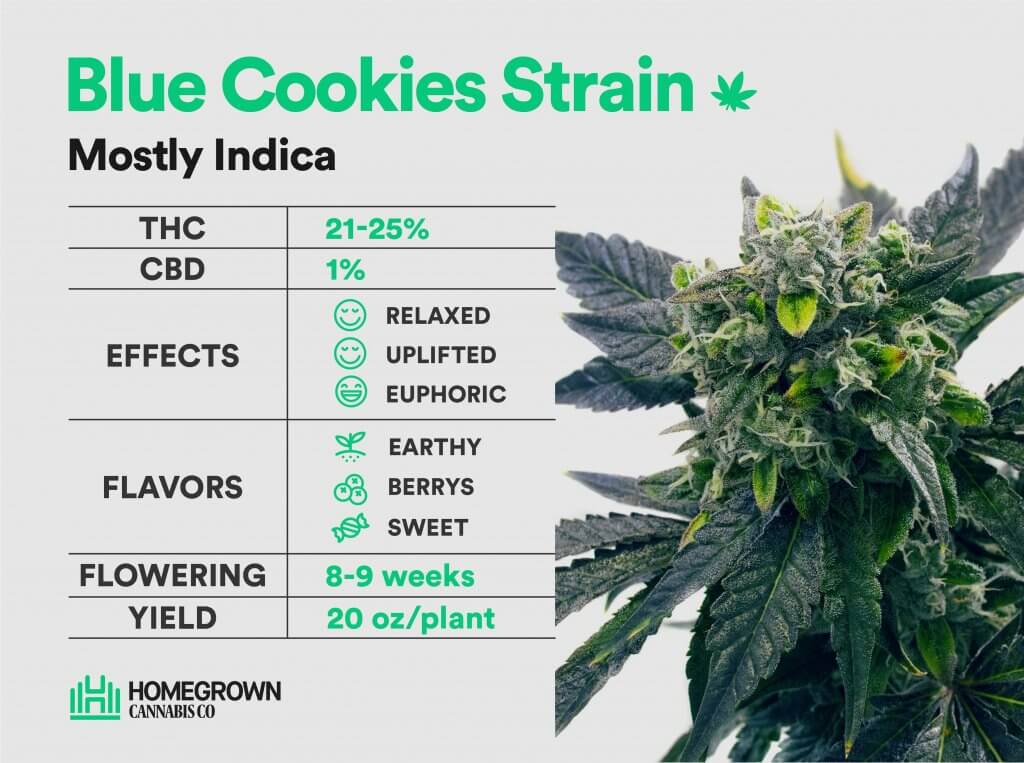 Blue Cookies Information