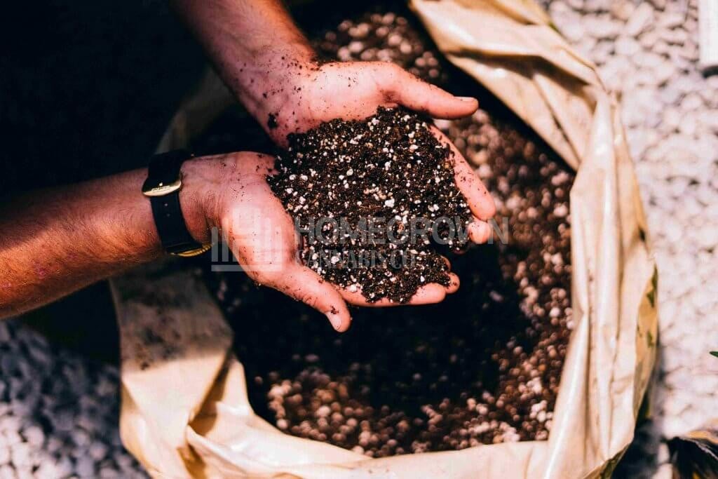 Soil for Cannabis