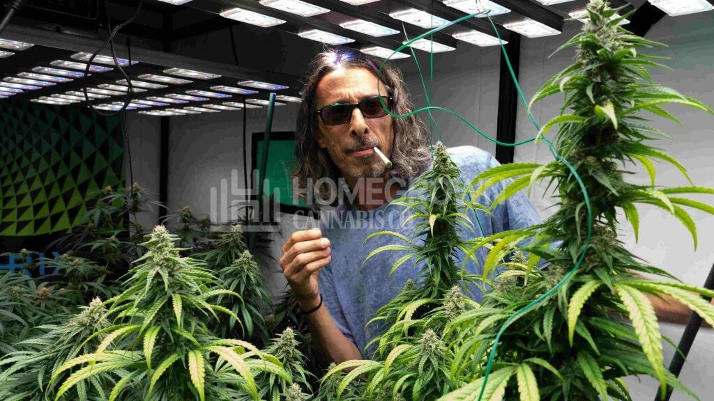 Kyle Kushman smoking among marijuana plants