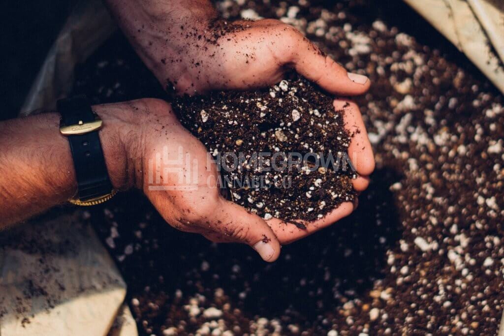 High-quality soil for weed