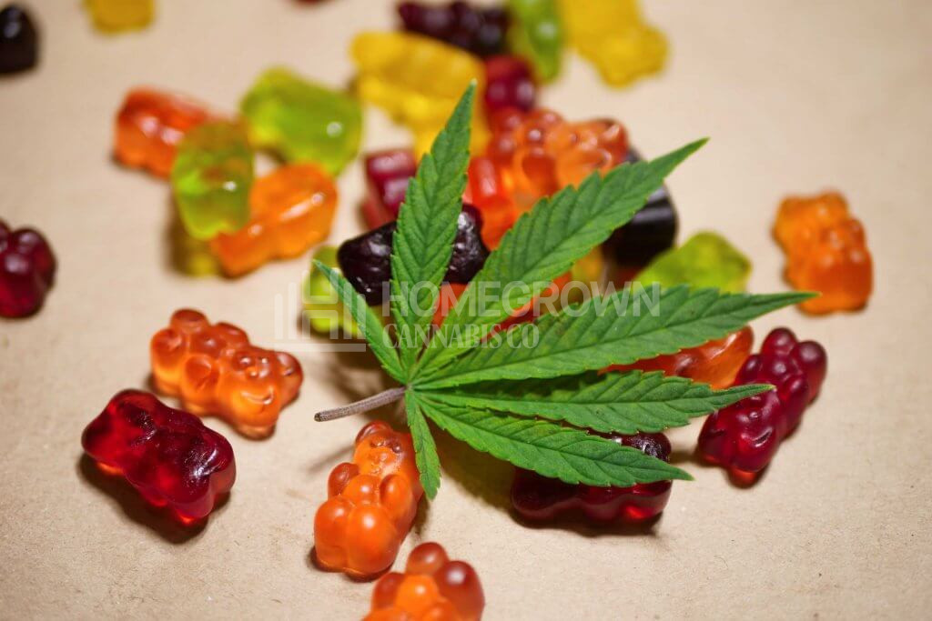 Cannabis infused gummy bears
