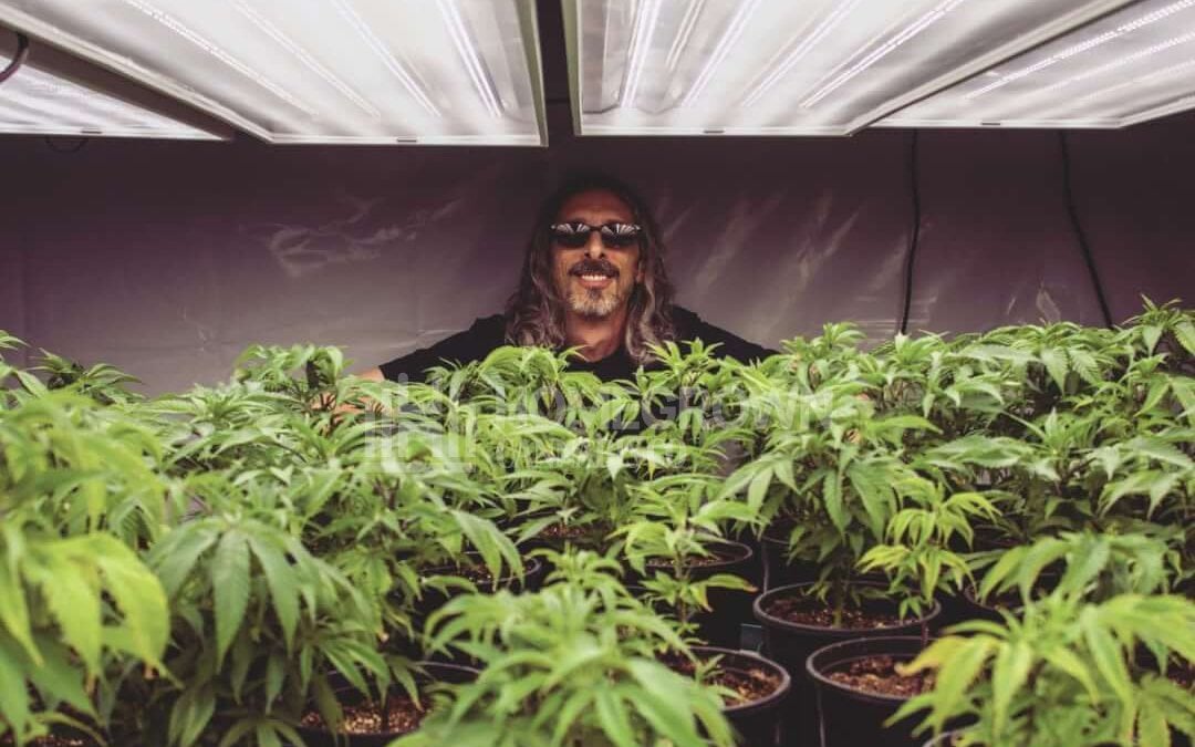 Kyle with cannabis plant