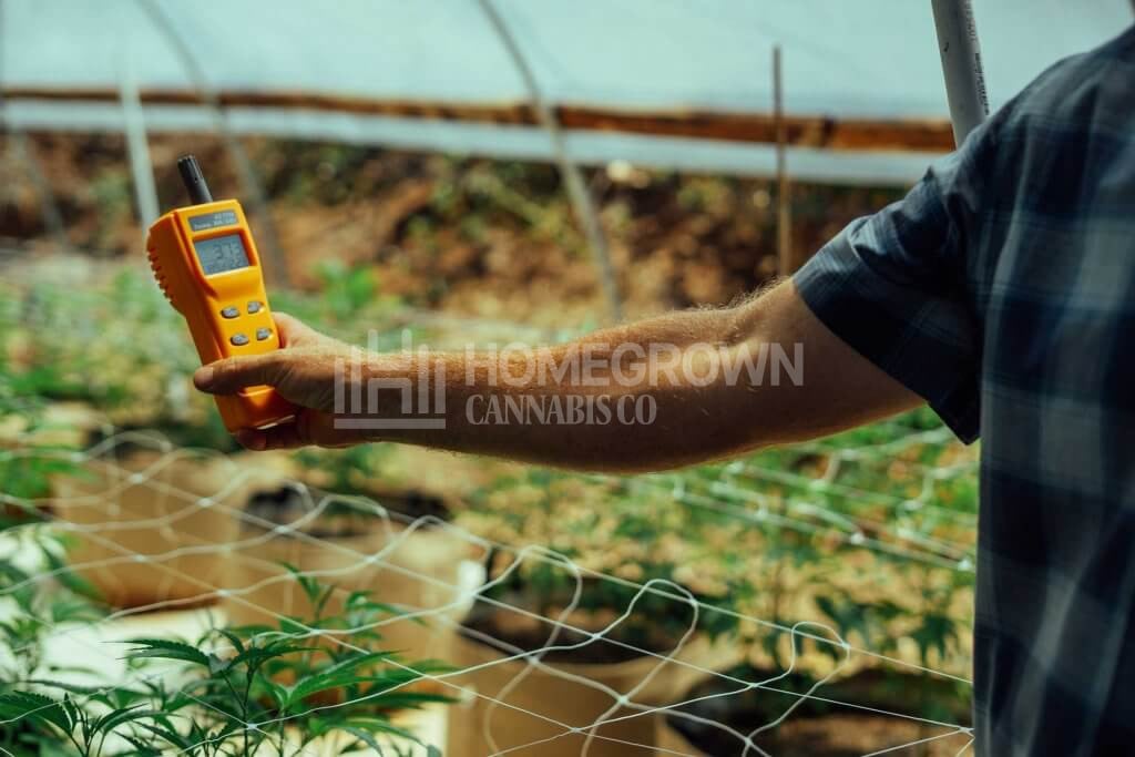 Measuring humidity in a greenhouse