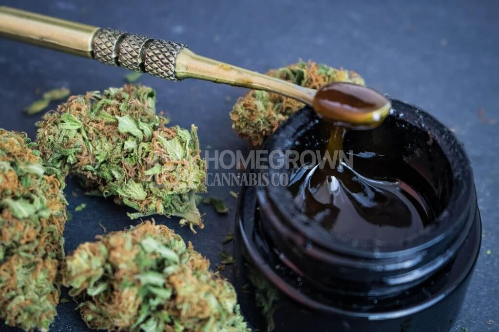 Cannabis buds with concentrated weed extract to dab
