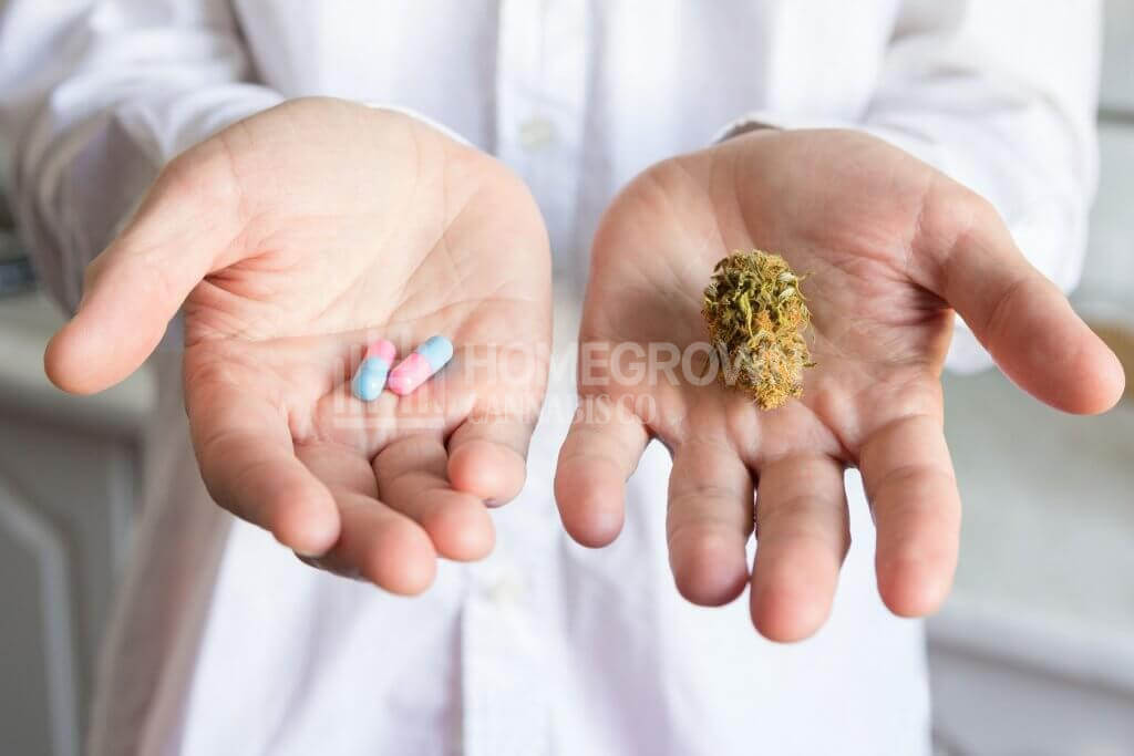 Doctor hand offering bud of medical cannabis and pills