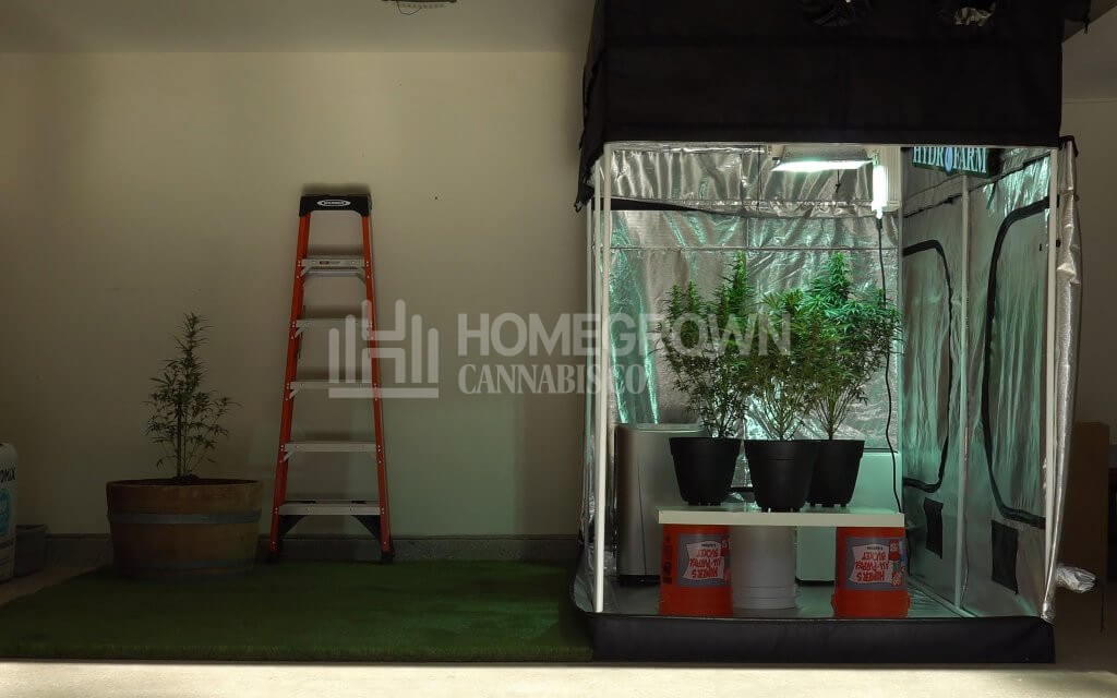 Indoor grow tent