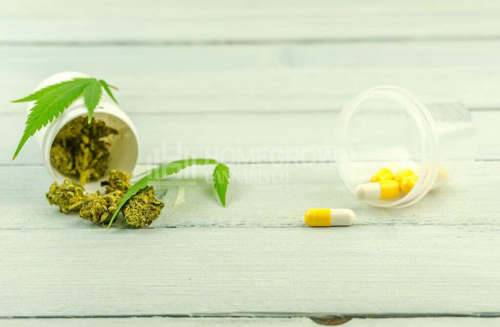 Cannabis flower buds leafs and prescription pills