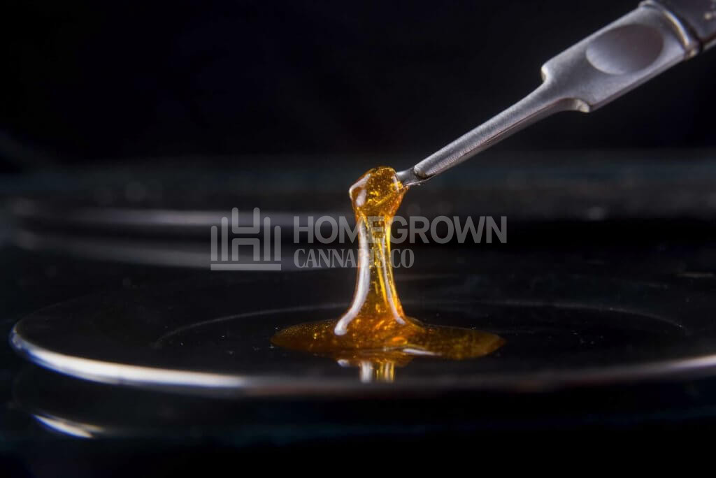 Cannabis concentrate held on a dabbing tool
