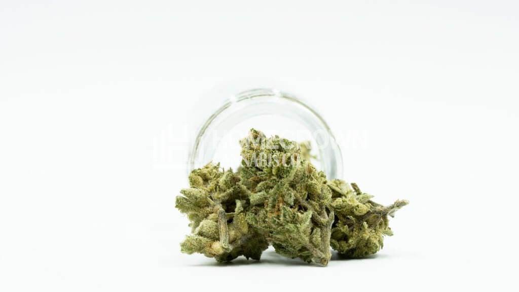Marijuana buds glass jar