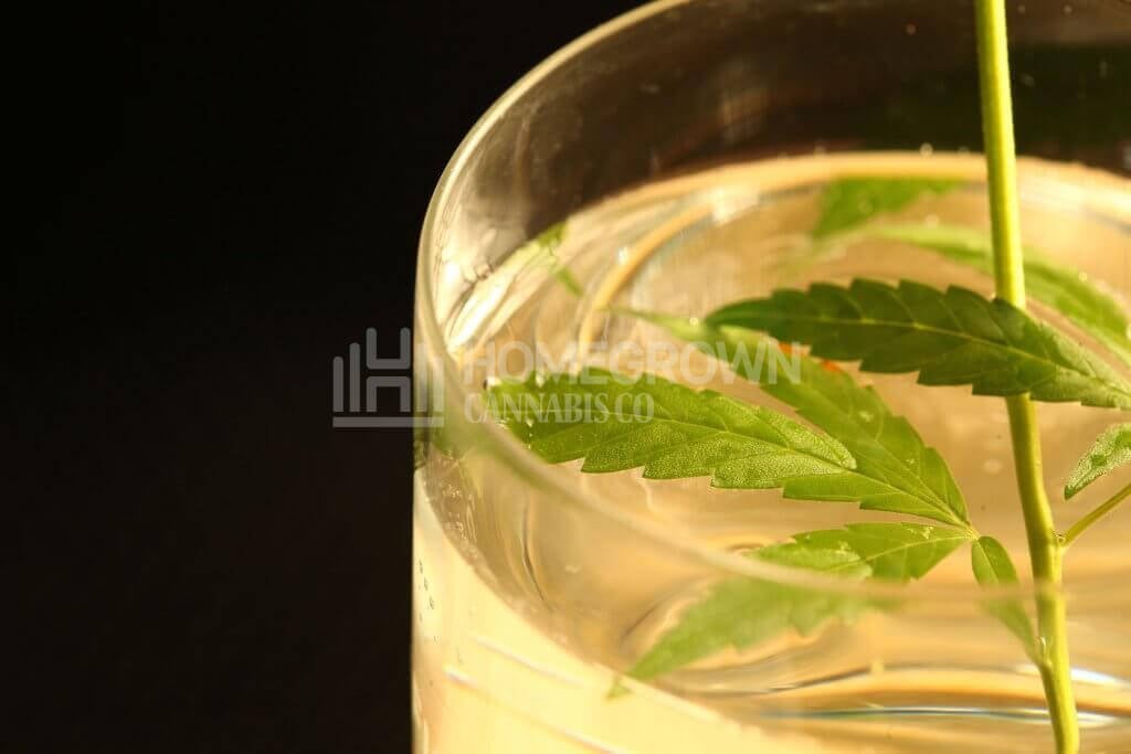Cannabis and rum cocktail