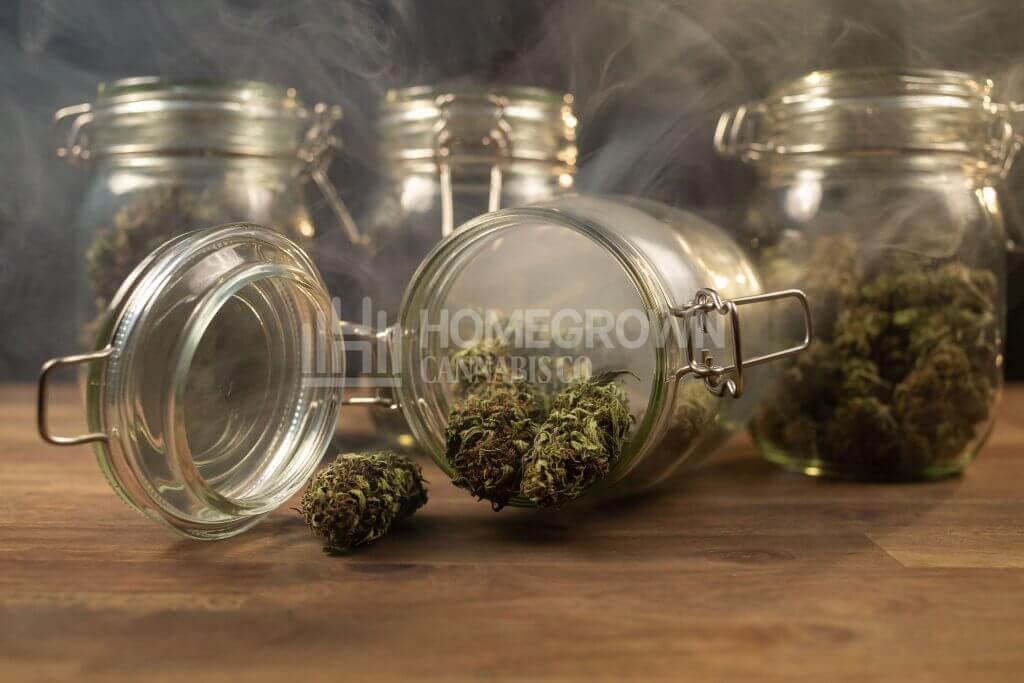 Cannabis buds in a mason jar