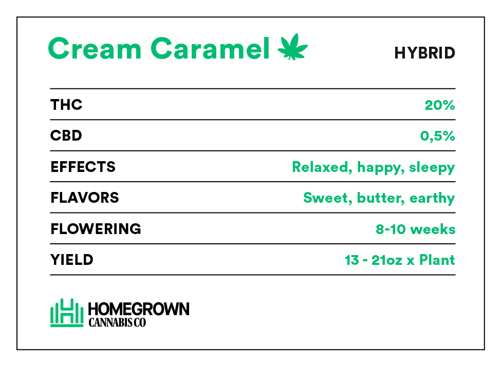 Cream Caramel Information