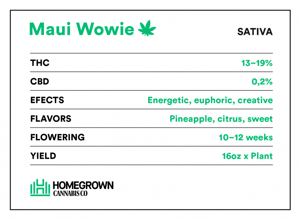 Maui Wowie info
