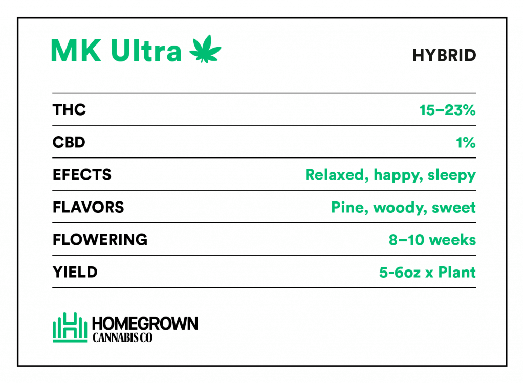 MK Ultra strain information