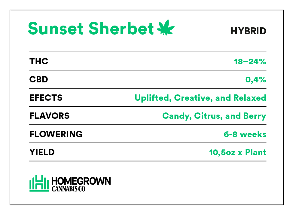 Sunset Sherbet information